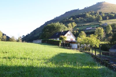 Le-magnolia_105953
