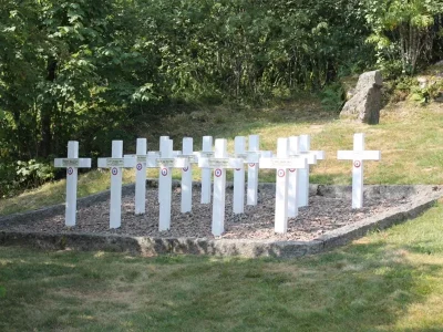 Le-maquis-de-la-brayotte-8211-La-Bresse_3875810