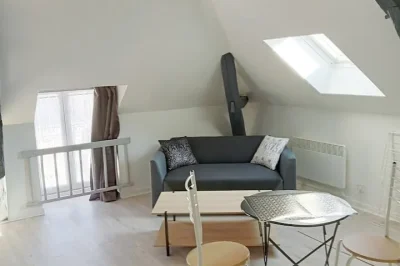 Le-nid-douillet-8211-Chatillon-sur-Loire_1784504