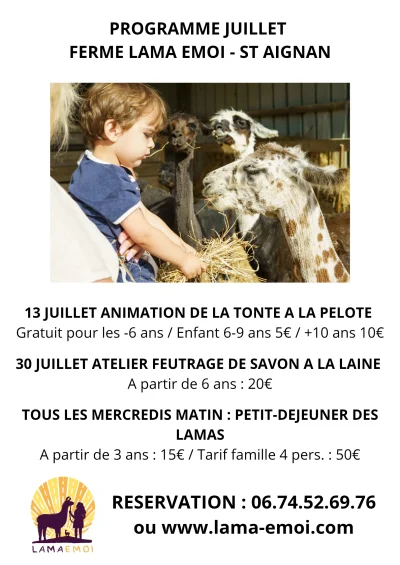 Le-petit-dej-des-lamas-et-alpagas-chez-Lama-Emoi-8211-01-07-2025-8211-Saint-Aignan_2866467