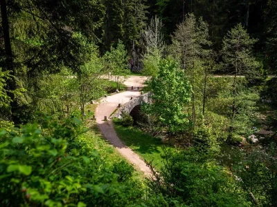 Le-pont-des-fees-8211-Gerardmer_3858745