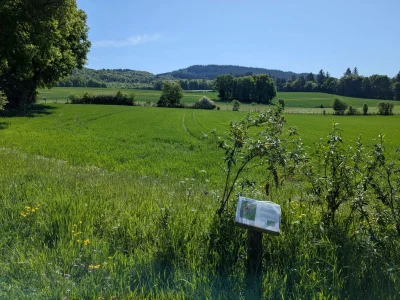 Le-rocher-des-folles-a-VTT-8211-Affieux_3861046