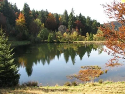 Le-rouge-gazon-et-la-chaume-des-neufs-bois-8211-Saint-Maurice-sur-Moselle_2601155