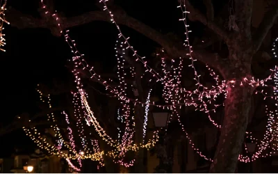 Le-sapin-feerique-Un-Noel-gourmand-et-multicolore-8211-01-01-2026-8211-Saint-Jean-de-Luz_3282029