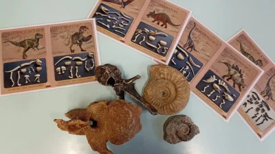 Le-secret-des-dinosaures-8211-Atelier-scientifique-8211-02-07-2025-8211-Pompaire_2680805