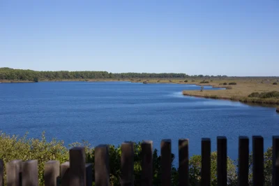 Le-sentier-de-la-Reserve-Naturelle-de-letang-de-Cousseau-8211-Lacanau_1056113