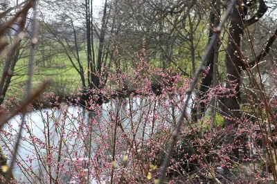 Le-sentier-de-la-petite-Mauve-8211-Beaugency_3297543