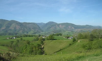 Le-sentier-decouverte-du-bois-du-Calvaire_507336