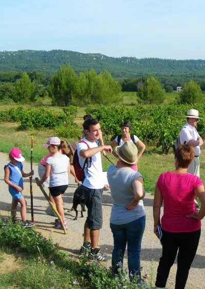 Le-sentier-des-Vignerons-de-Rognes-8211-Rognes_2694435