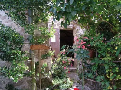 Le-sentier-des-pervenches-8211-Montrol-Senard_3801464