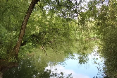 Le-site-naturel-de-Pasdavy-a-Servon-sur-Vilaine_623444