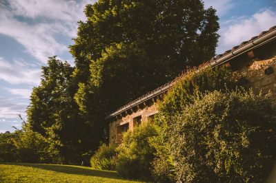 Le-tilleul_120129