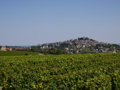 Le-tour-de-Sancerre-parcours-bleu_5942