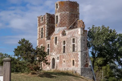 Le-tour-du-Bois-de-l039Ile-8211-Saint-Denis-en-Val_3547676
