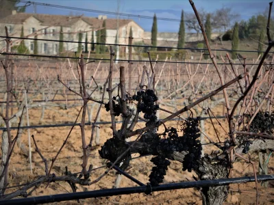 Le-vignoble-aixois-le-vignoble-des-bastides-8211-La-Trevaresse-et-Plateau-de-Puyricard-8211-Aix-en-Provence_2654216