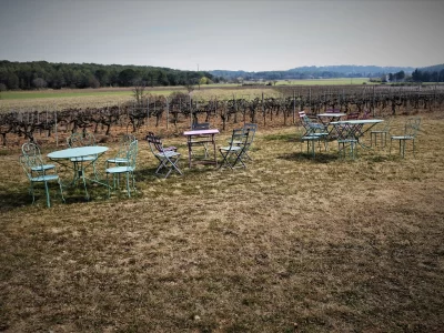 Le-vignoble-aixois-le-vignoble-des-bastides-8211-La-plaine-de-la-Touloubre_738843