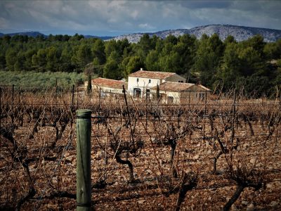 Le-vignoble-aixois-le-vignoble-des-bastides-8211-Un-week-end-a-la-montagne-de-la-Vautubiere_24767