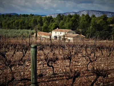 Le-vignoble-aixois-le-vignoble-des-bastides-8211-Un-week-end-a-la-montagne-de-la-Vautubiere_714296