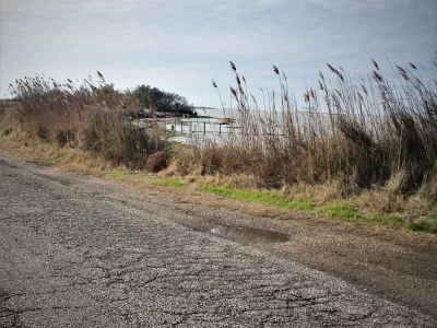 Le-vignoble-de-Camargue-les-vins-du-delta_715507