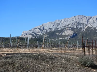Le-vignoble-de-Ste-Victoire-sous-l039oeil-de-Cezanne_715691