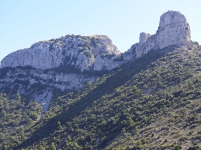 Le-vignoble-de-la-Sainte-Baume-un-terroir-sacre-8211-Aubagne_2699121