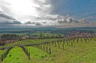 Lecture-de-paysage-dans-les-Vignobles-de-Vic-sur-Seille-8211-Vic-sur-Seille_3632947
