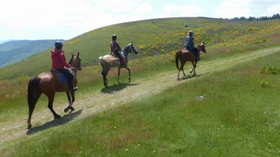 Les-160-km-de-Florac-a-cheval-8211-Ispagnac_3749365