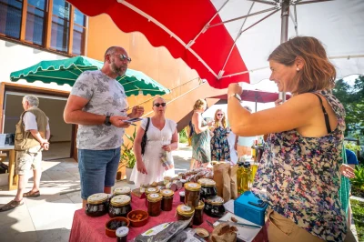 Les-Aperiview-de-Vinoltis-8211-18-08-2025-8211-Puy-l039Eveque_2920289