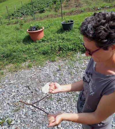 Les-Apprentis-Sourciers-8211-20-09-2025-8211-Sauveterre-de-Bearn_2858188