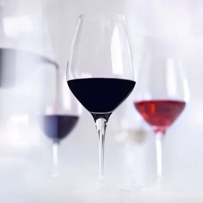 Les-Ateliers-de-Bacchus-8211-Atelier-de-degustation-8211-Bordeaux_2069902
