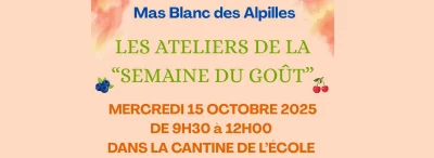 Les-Ateliers-de-la-039Semaine-du-gout039-a-Mas-Blanc-les-Alpilles-8211-Mas-Blanc-des-Alpilles_3185224