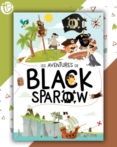 Les-Aventures-de-Black-Sparow-a-Niort-8211-14-02-2026-8211-Niort_3471998