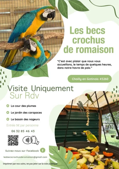 Les-Becs-crochus-de-romaison-8211-Chailly-en-Gatinais_3521371