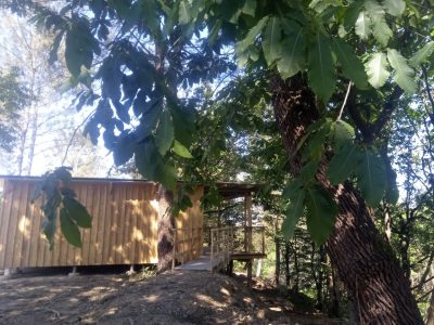Les-Cabanes-de-Brocas-8211-Cabane-4_109787