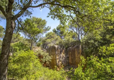 Les-Carrieres-de-Bibemus-et-Cezanne-8211-02-07-2025-8211-Aix-en-Provence_1923605