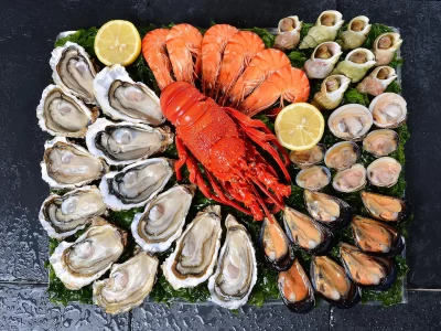Les-Coquillages-du-Roy-Rene_539324