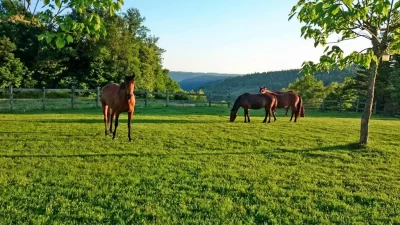Les-Ecuries-d039Hautefage_1047327