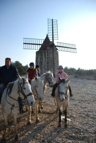 Les-Enganes-8211-Balades-a-cheval-8211-Fontvieille_2806992