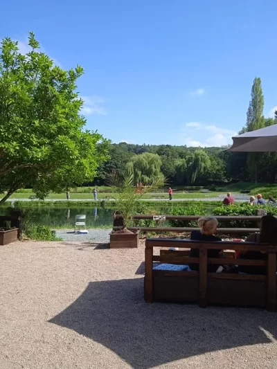 Les-Etangs-de-la-Roche-Fontaine_691767