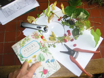 Les-Fleurs-en-liberte-8211-Ateliers-d039art-floral-8211-Serans_2507016