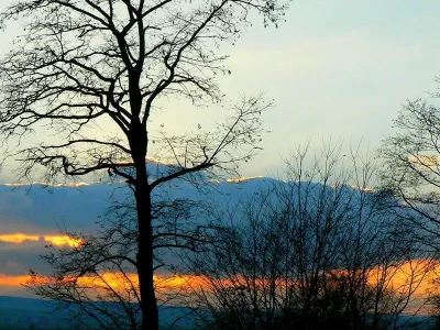 Les-Forets-de-lHistoire-14-18-sensation-nature-au-crepuscule-8211-Douaumont-Vaux_3404293