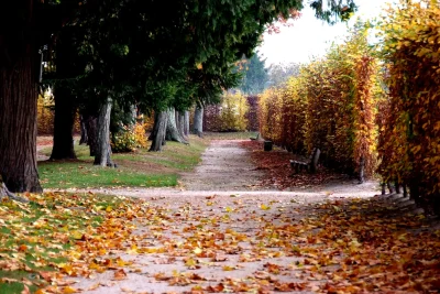 Les-Grands-Jardins-8211-Aubigny-sur-Nere_3224281