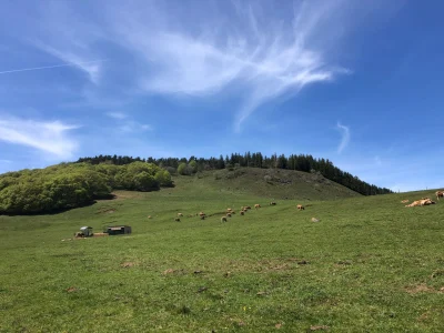 Les-Granges-8211-Trail-n°42-8211-Nasbinals_3748625