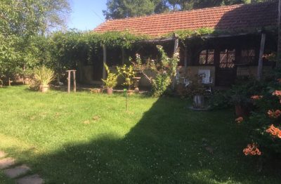 Les-Hortensias-de-Bois-Sec-Haut_104091