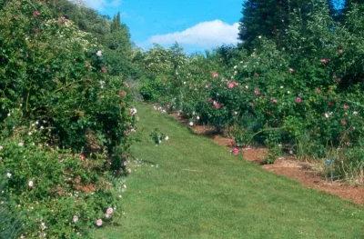 Les-Jardins-de-Cadiot-8211-Carlux_2919839