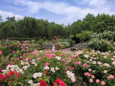Les-Jardins-de-Colette-et-son-labyrinthe-8211-Varetz_2687164