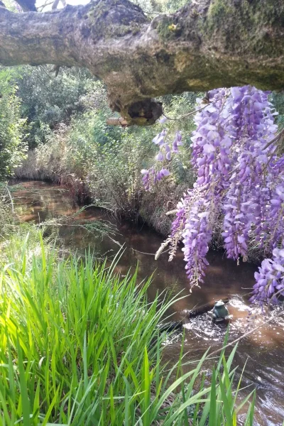 Les-Jardins-de-Mimizan-8211-Chambre-Jardin-8211-Mimizan_1633039