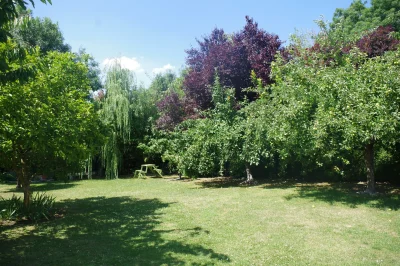 Les-Lavandieres-n°-5470-8211-Saint-Hilaire-la-Palud_3098523