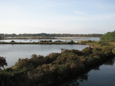 Les-Marais-de-Pen-en-Toul_648632