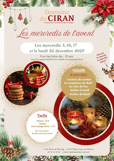 Les-Mercredis-de-l039Avent-8211-Menestreau-en-Villette_3267570